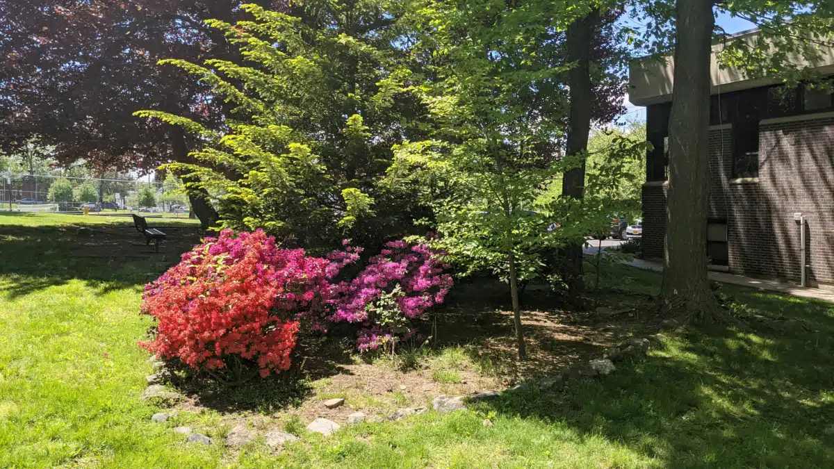 MH Assoc of Westchester Co Inc